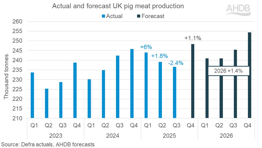 bar chart showing quarterly actual and forecast pig meat production in UK